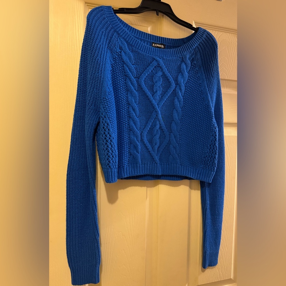 Express Blue Sweater cropped